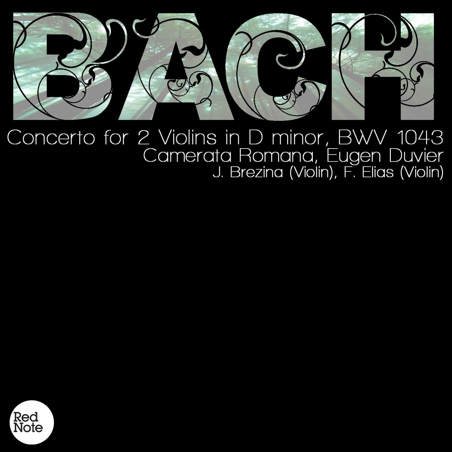 Camerata Romana, Eugen Duvier