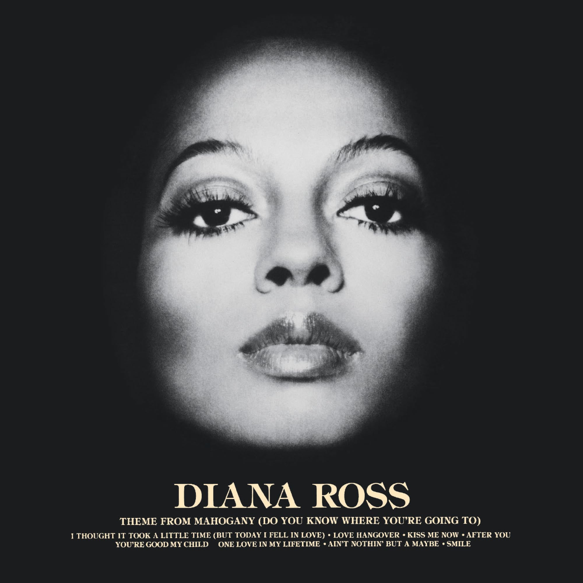 ミュージック VHD/ DIANA/ THE VISION S OF DIANA ROSS / ミュージック VHD/ DIANA/ THE VISION S OF DIANA ROSS
