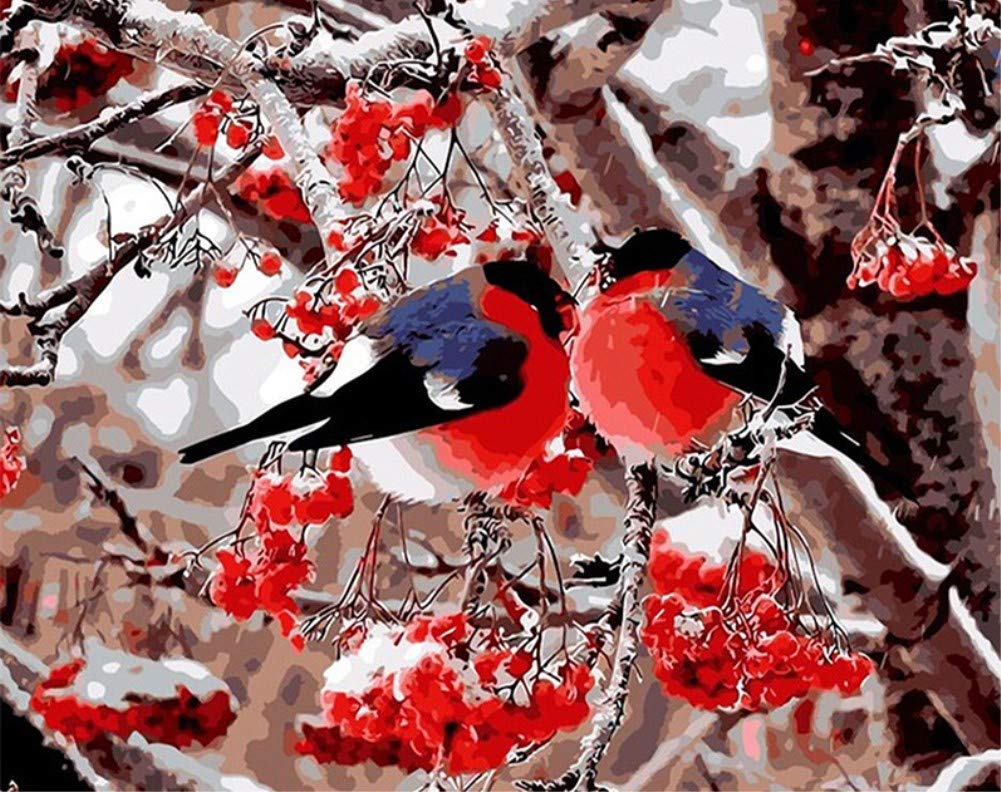 ABEUTY DIY Paint by Numbers for Adults Beginner - Birds on The Tree 16x20 inches Number Painting (Wooden Framed) โ image 1