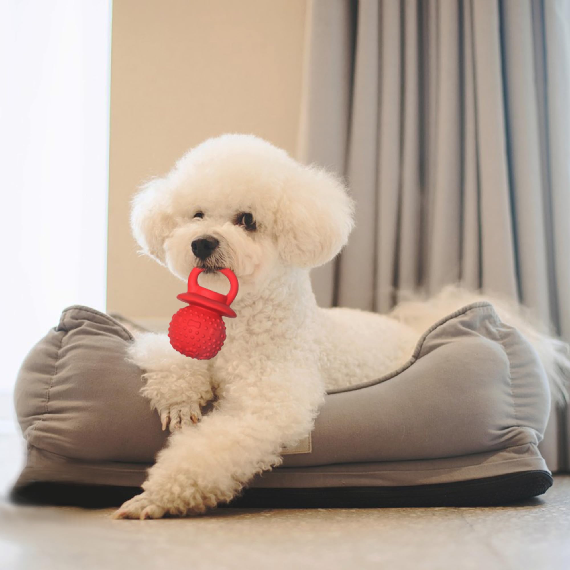 Juguetes masticables de látex para perros, novedosos juguetes chirriantes para cachorros en dentición, masticación suave, perros pequeños, medianos y grandes, suministros para perros recién