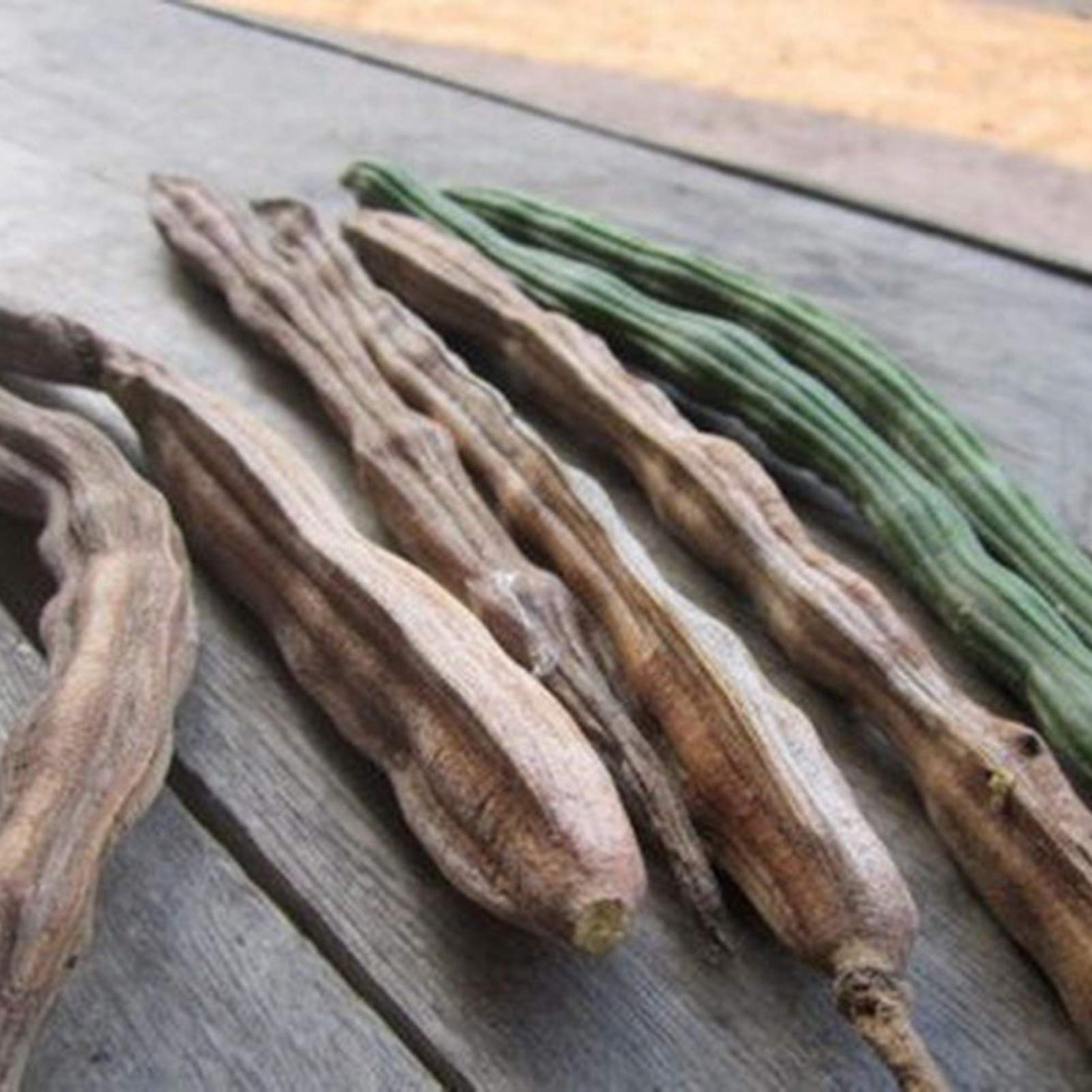 Benoon Semillas De Moringa, 50 Piezas/Bolsa Semillas De Moringa Fragancia Intensa De Moringa Sin OGM Semillas De Moringa De Jardín Saludable Para Jardín Semilla