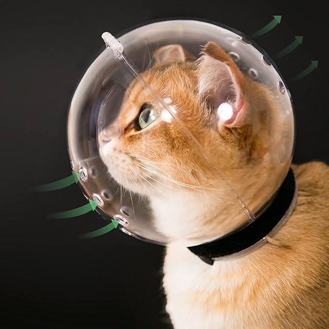 Bozal Integral para Gatos, Capucha Transparente y con circulación de Aire