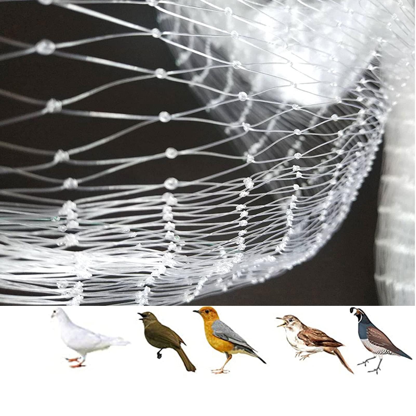 Red de pájaros de alta calidad para jardín y árboles frutales, valla de malla antipájaros para plantas, duradera y translúcida (2,5 cm, 7 m x 10 m), protege tu jardín de los pájaros