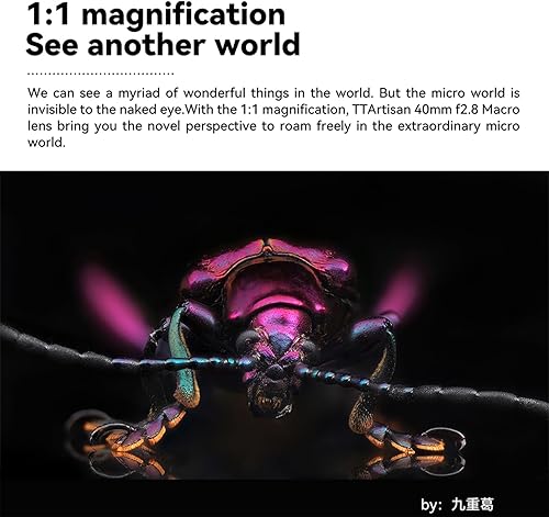 Miniatura 4 de TTArtisan Lente F2.8 Macro APS-C de 1.575in Enfoque manual Sony-E Montaje como A5000, A5100, A6000, A6100, A6300, A6400, A6500, A6600, NEX-3,