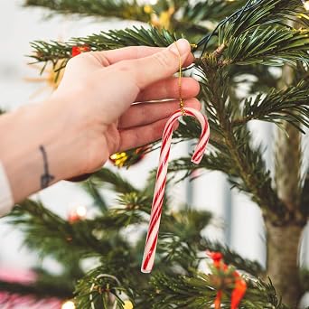 Taboom Bulk Assorted Candy Cane 96 Count - Christmas Candy Canes Variety Fruity Flavors Cherry, Lemon, Hot Cocoa Holiday Colorful Candy Bulk