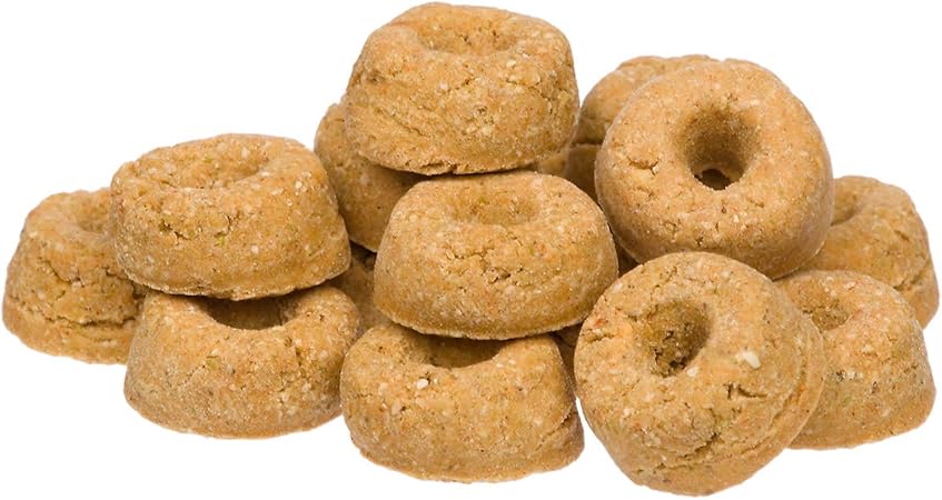 black labrador teddy bear