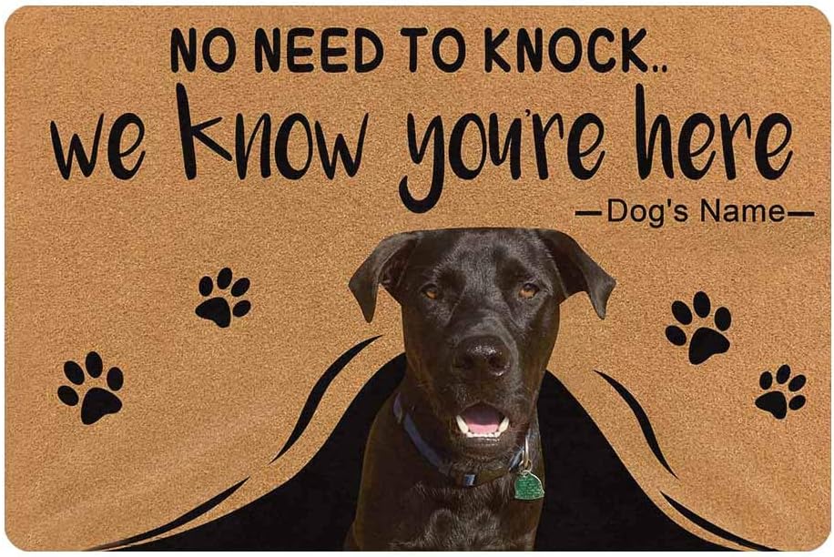 Custom Doormat, Personalized Mat No Need to Knock We Know You're Here Dog Retrieve Dog Name Doormat Door Floor Mat Outdoor Indoor Front Mat Entrance Welcome Mat Bathroom Rug Non Slip Mat 24x16 Inches