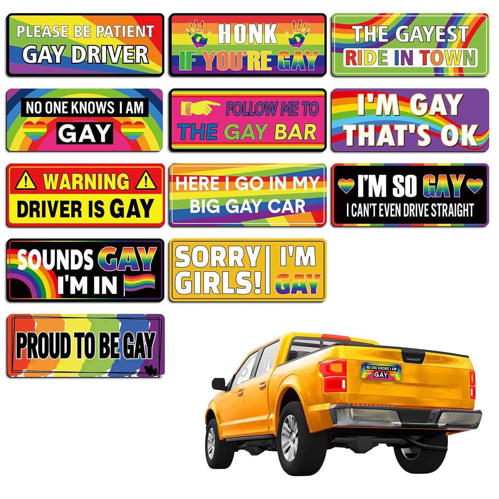 12PCS Gay Pride Funny Car Magnet, LGBT Rainbow Pride Prank Magnetic Sign, Prank Magnetic Bumper Sticker for Vehicles and Trucks Reusable Magnet Sticker for Fridge