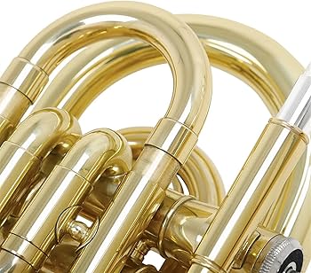 Amazon.co.jp: プロのポケットトランペット Bb キーミニチュア Amazon.co.jp: プロのポケットトランペット Bb キーミニチュア