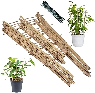 Mini Bamboo Trellis - Square 6 Pack Natural Bamboo Trellis | Garden Ladder Trellis, Plant Trellis, Flower Support, Flower Stakes for Climbing Plants, Vegetables, Pots Leoly