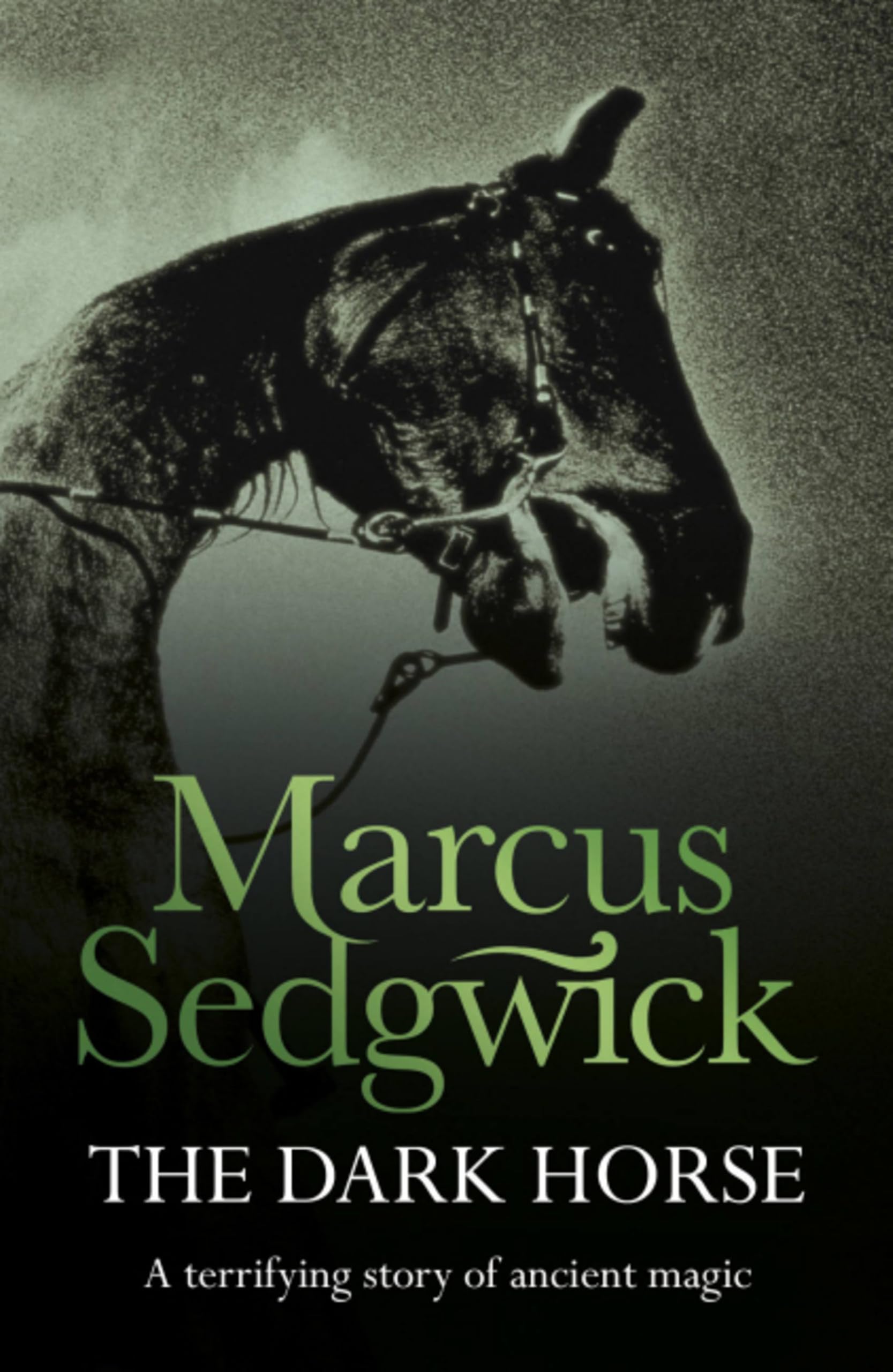 The Dark Horse by Marcus Sedgwick (Paperback, 2003)