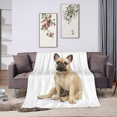 Manta de franela de bulldog francés de 60 x 80 pulgadas, suave, acogedora, mullida y cálida para adultos en sofá, cama, 80 x 60 pulgadas