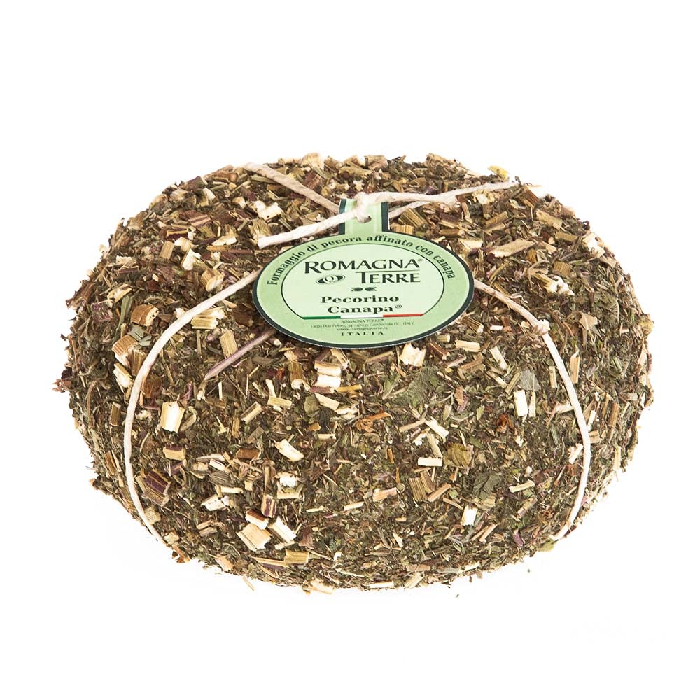 Pecorino Canapa Schafmilchkäse mit Hanf 60 Tage gereift Mehrfach ausgezeichnet und Gewinner bester Käse Italiens Ca. 450gr