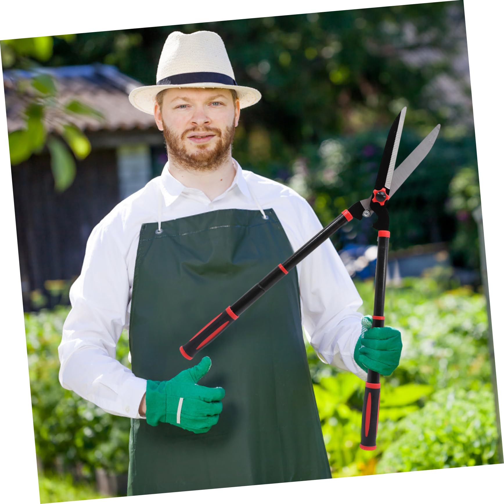 ibasenice Cesoie Da Giardino Manuali Per Siepi Attrezzi Da Giardinaggio Per Potatura Alberi Cesoie Per Arbusti in Acciaio Impugnature Ergonomiche in Gomma Antiscivolo