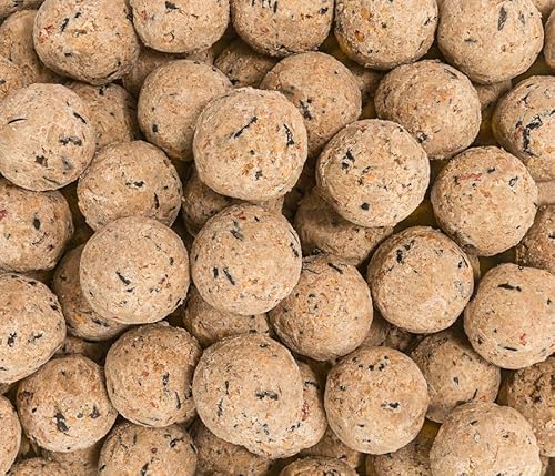 Dehner Natura Premium Meisenknödel ohne Netz, Insektenknödel, ganzjähriges Wildvogelfutter proteinreich / energiereich, 100 Stück je 90 g (9 kg), Karton aus FSC-zertifizierter Produktion