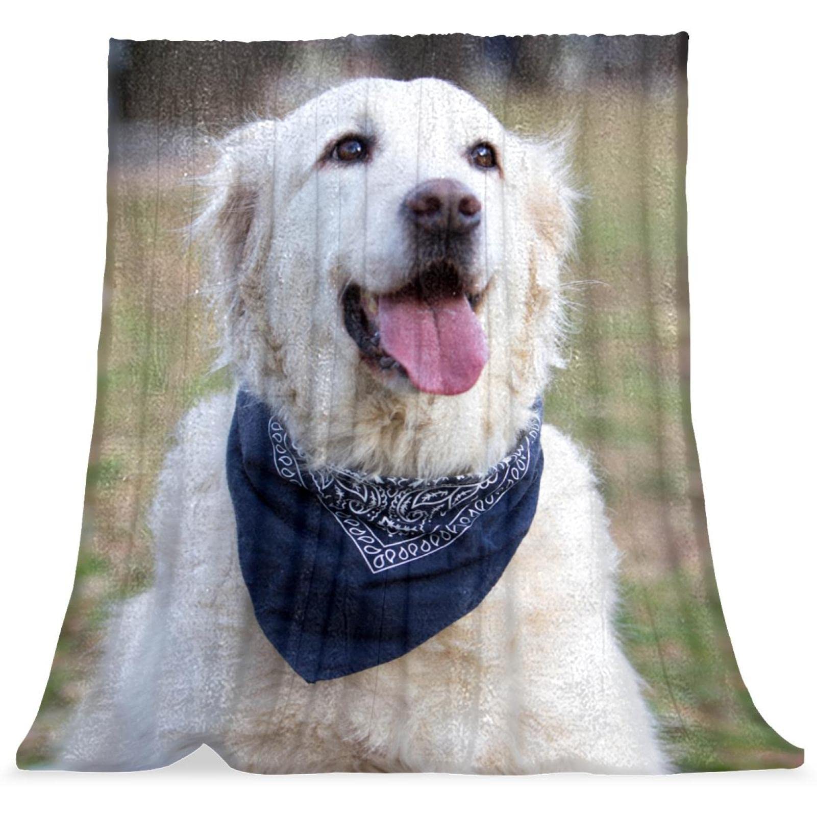 TBOUOBT Couverture Polaire de literie, décorative pour Le Sol du canapé de la Chambre,Golden Retriever Animal Chien Pet