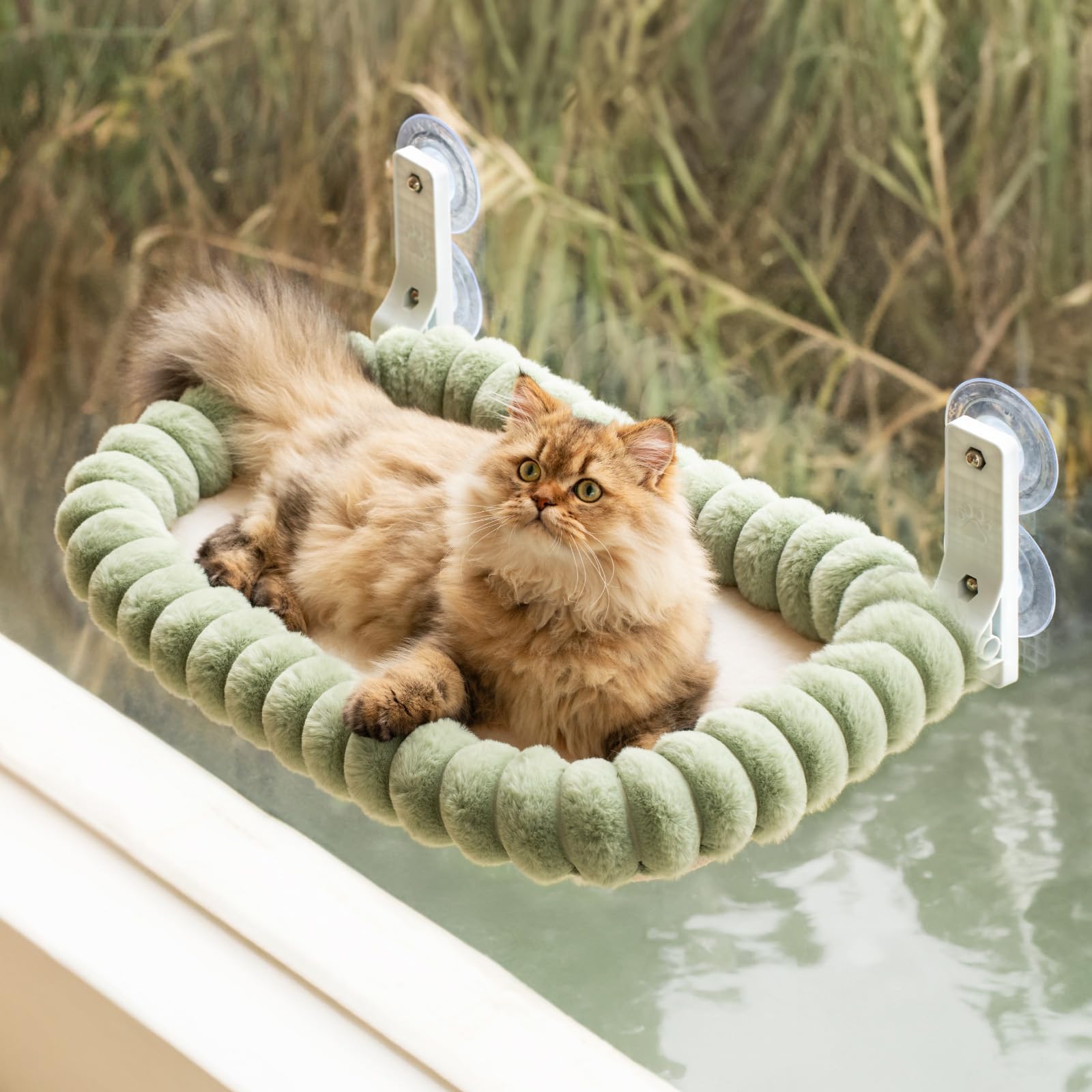 MEWOOFUN Amaca per gatti in peluche, pieghevole, con letto rimovibile e reversibile per gatti, morbido con telaio in acciaio ispessito, 4 potenti ventose robuste fino a 18kg (Verde, M)