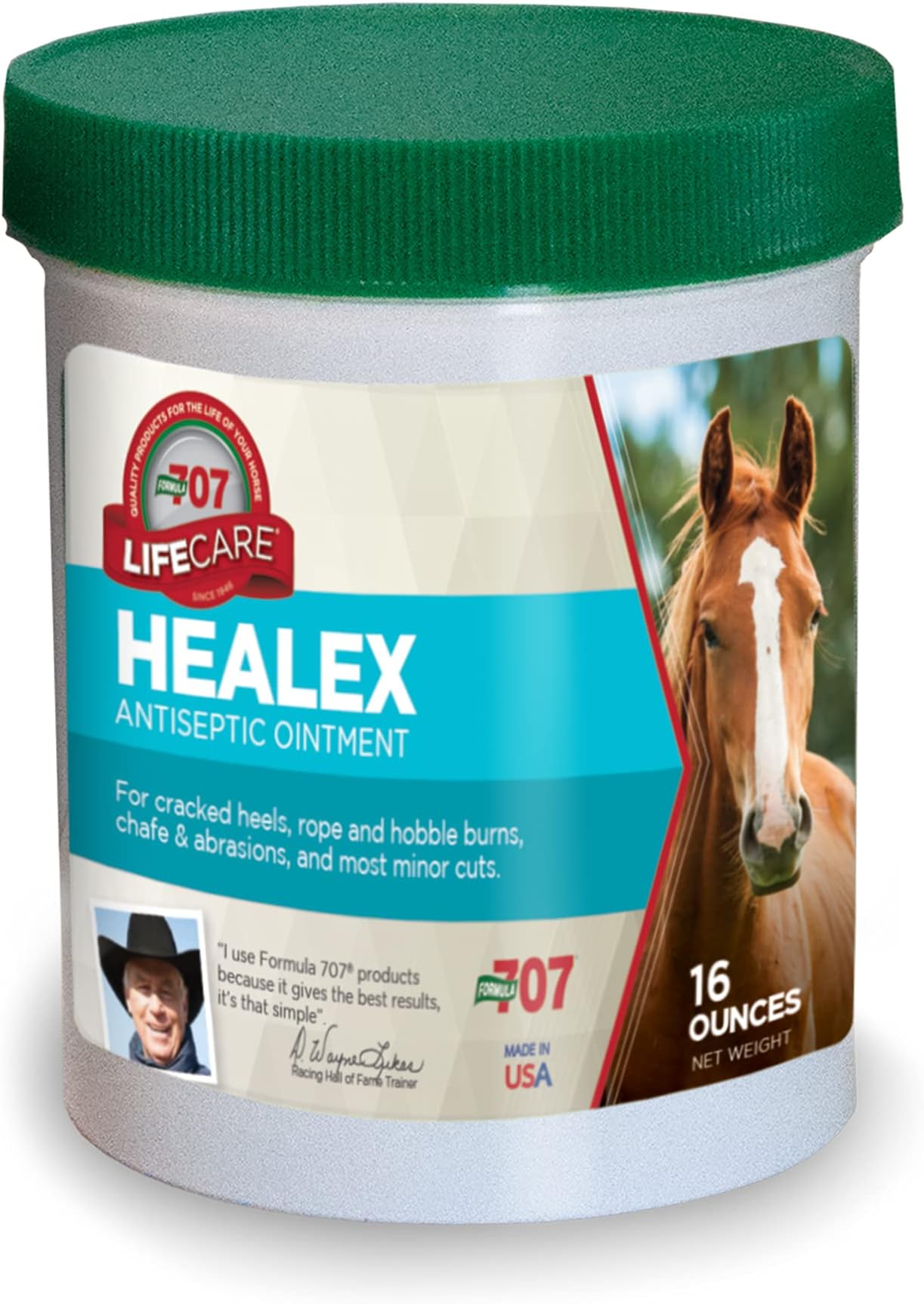 Formula 707 Healex Equine Ointment, 16oz โ Zinc Oxide, Eucalyptol, and Phenol to Soothe cuts, abrasions, and Saddle sores