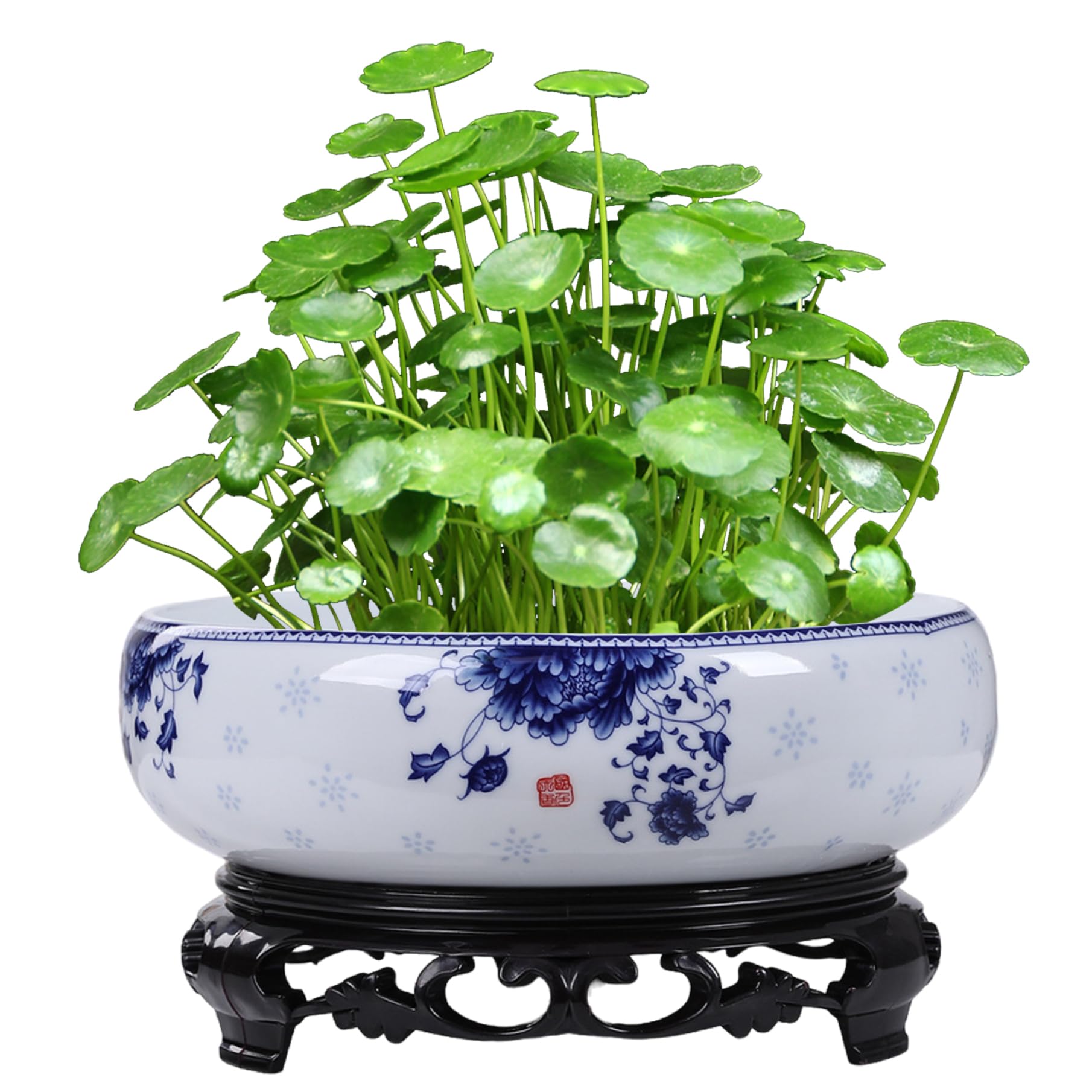 Jardinière hydroponique ronde, bol de lotus en céramique pour nénuphar d'intérieur