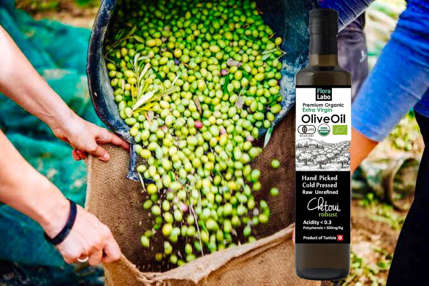 オーガニック エキストラバージンオリーブオイル 500mL CHETOUI ROBUST 【オリーブジャパン 金賞｜有機JAS｜高ポリフェノール｜コールドプレス製法】 High Polyphenol Organic Extra Virgin Olive Oil (1)