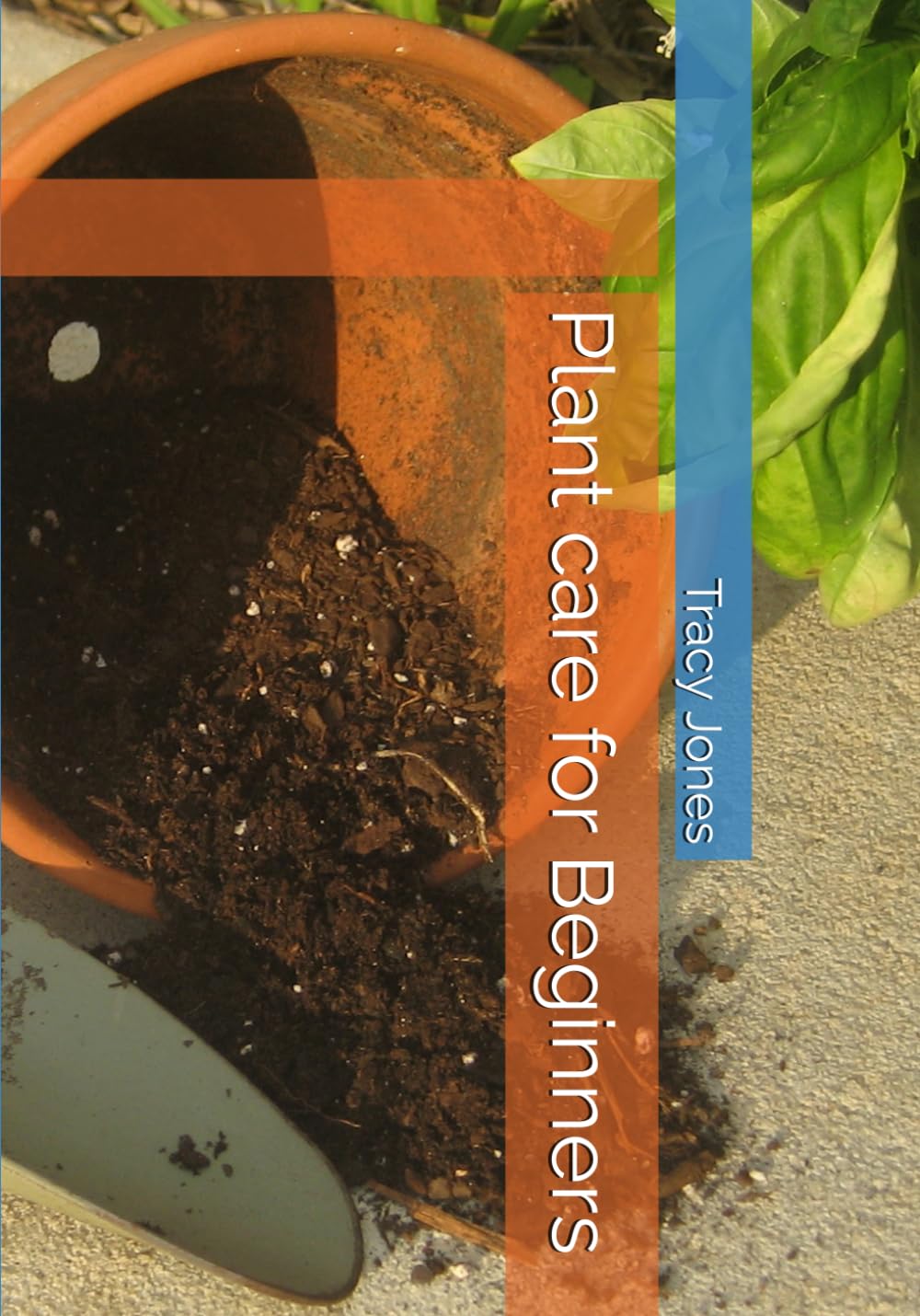 Plant care for Beginners