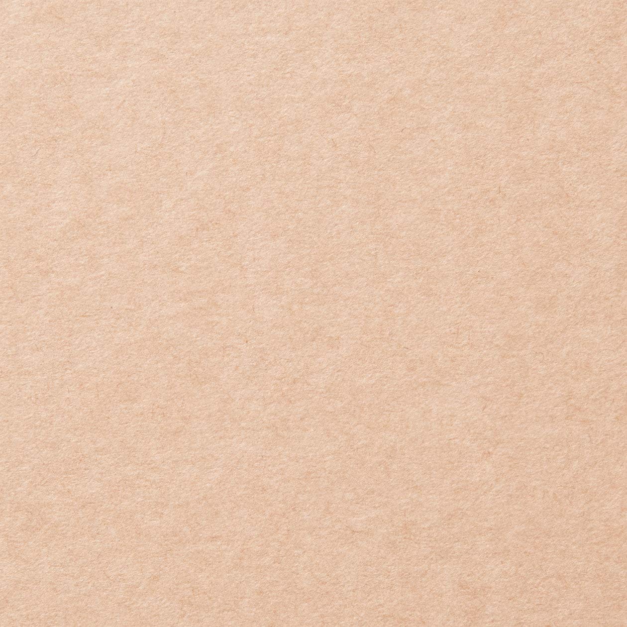 Amazon.co.jp : 無印良品 パルプボードボックス・タテヨコA4