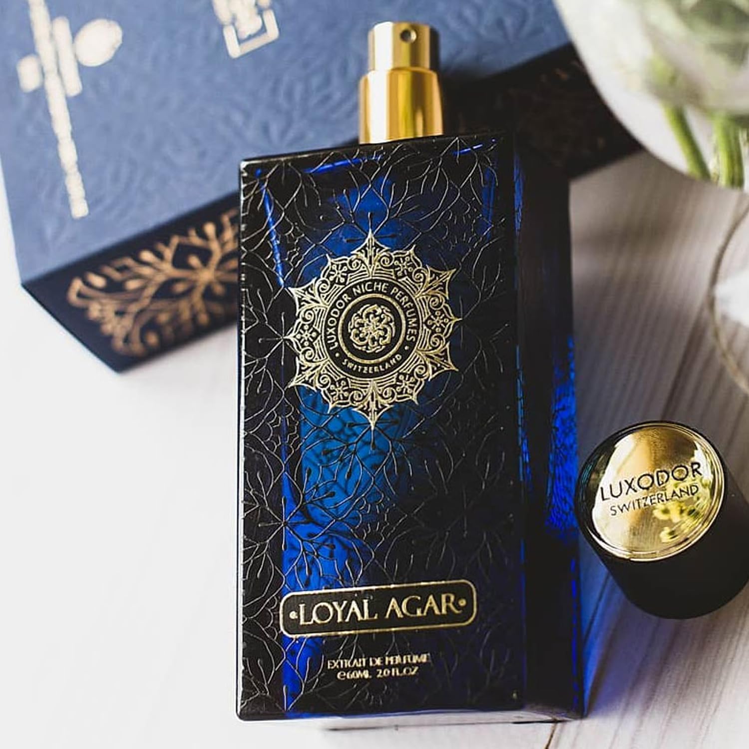 LUXODOR Loyal Agar- Woody Ambery Unisex Perfume | Perfume for Men & Women | Floral, Fruity, Musky & Earthy Notes | Extrait De Parfum- 80 ml