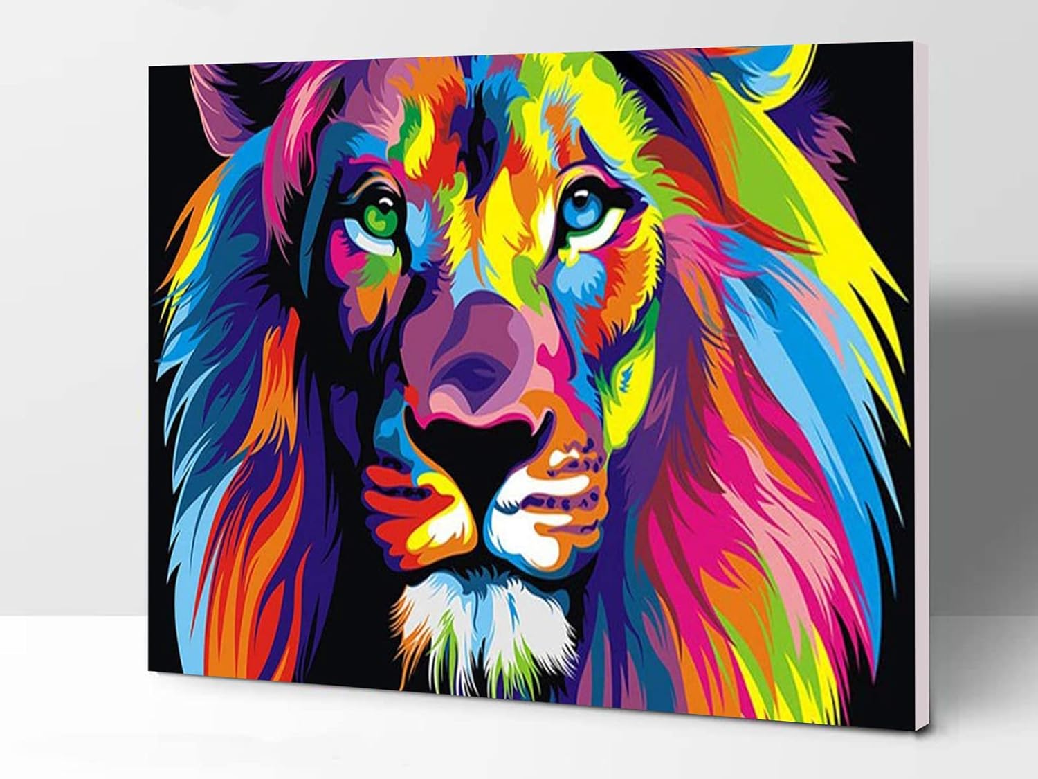 ifymei Paint by Number for Kids and Adults Beginner, DIY Acrylic Painting Kits with