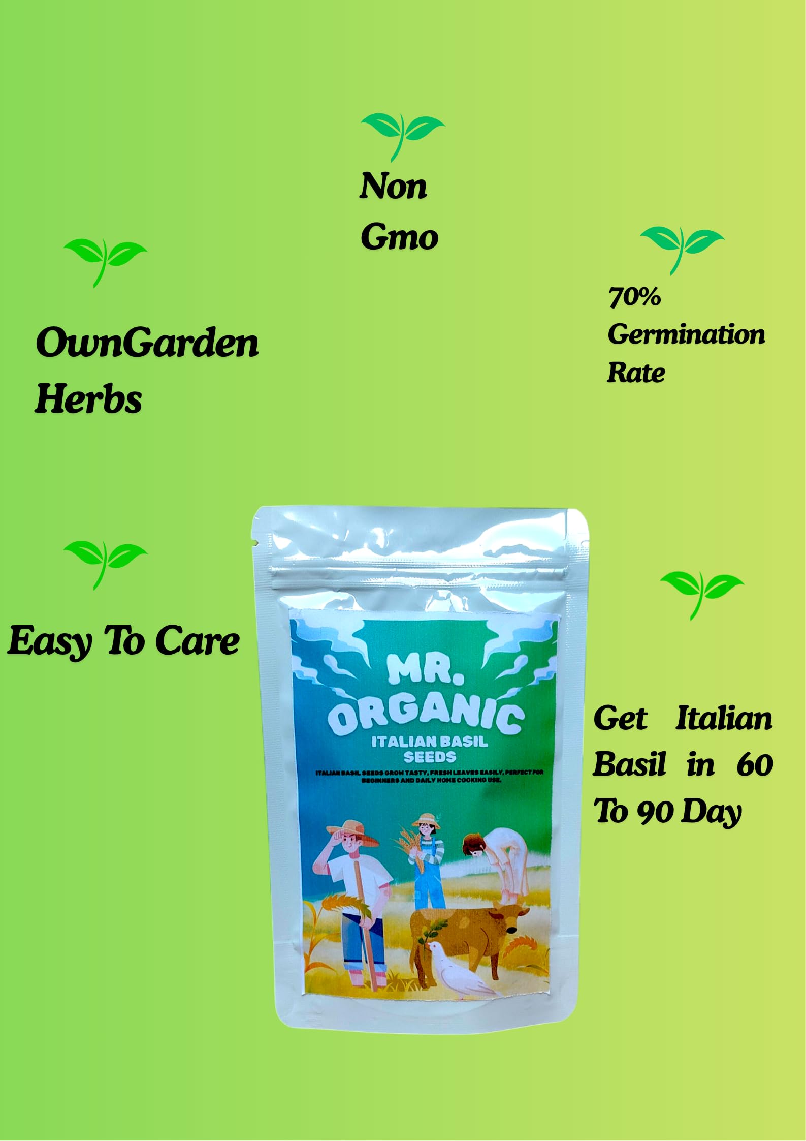 Italian Basil Seeds - Grow Fresh Herbs at Home -5