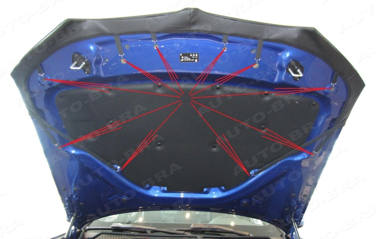 AB3-00474 Carbon Fiber Look Hood Bra Compatible with BMW 3 G20 Since 2019 Front End Nose Mask Bonnet Bra
