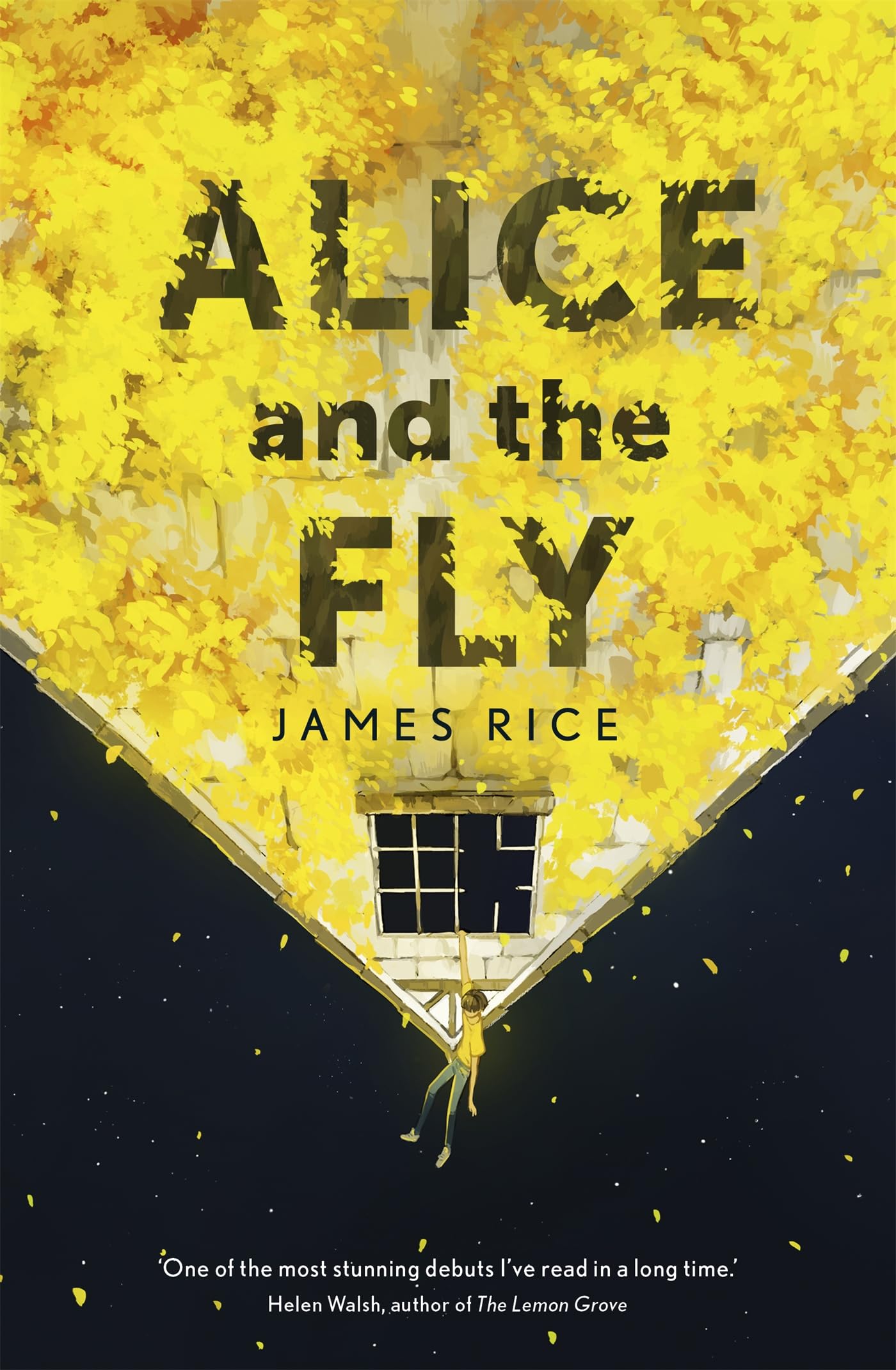 Alice and the Fly: 'a darkly quirky story of love, obsession and fear