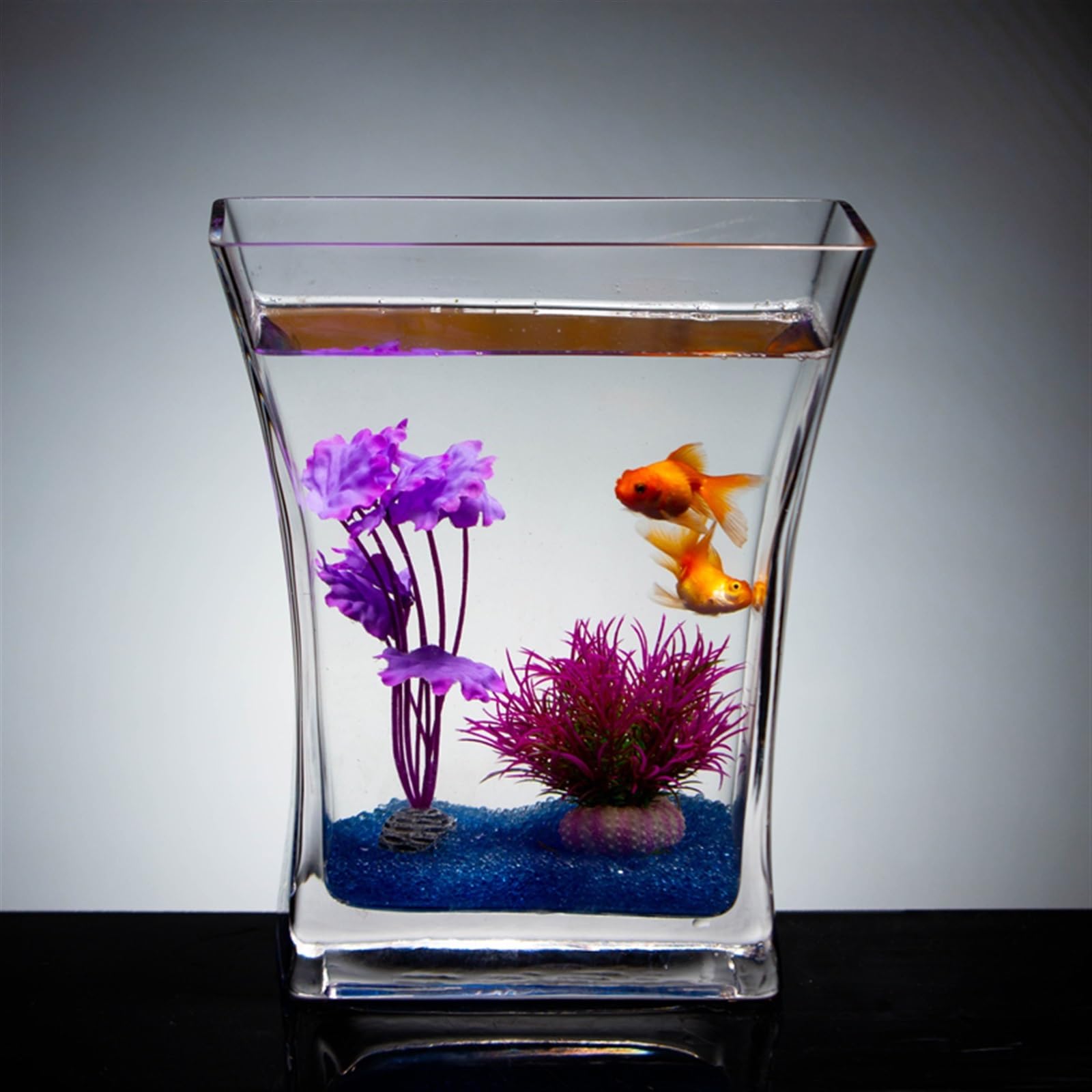 Acquario per Pesci Creativo Acquario in Vetro Trasparente Acquario Ascia Desktop Piccolo Acquario Acquario for Pesci Rossi Ufficio Soggiorno Ornamenti Acquari