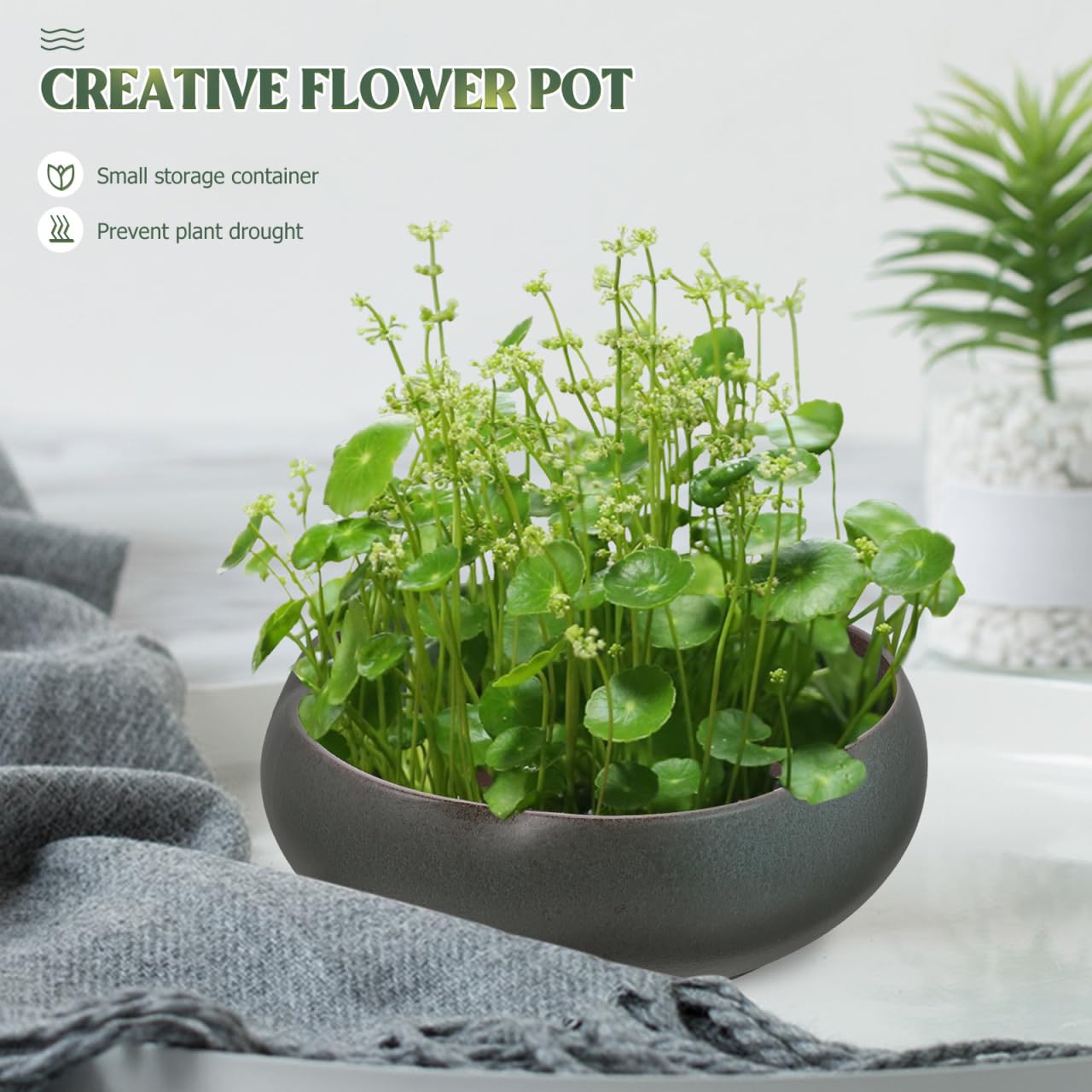 壺　植栽 Amazon.com: Hydroponic 容器水仙壺陶瓷無孔深植鍋適用於室內和室外