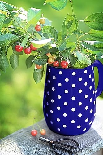 Miniatura 6 de Jarra de agua de 84.5 onzas líquidas Sajonia esmaltada jarra con asa para servir