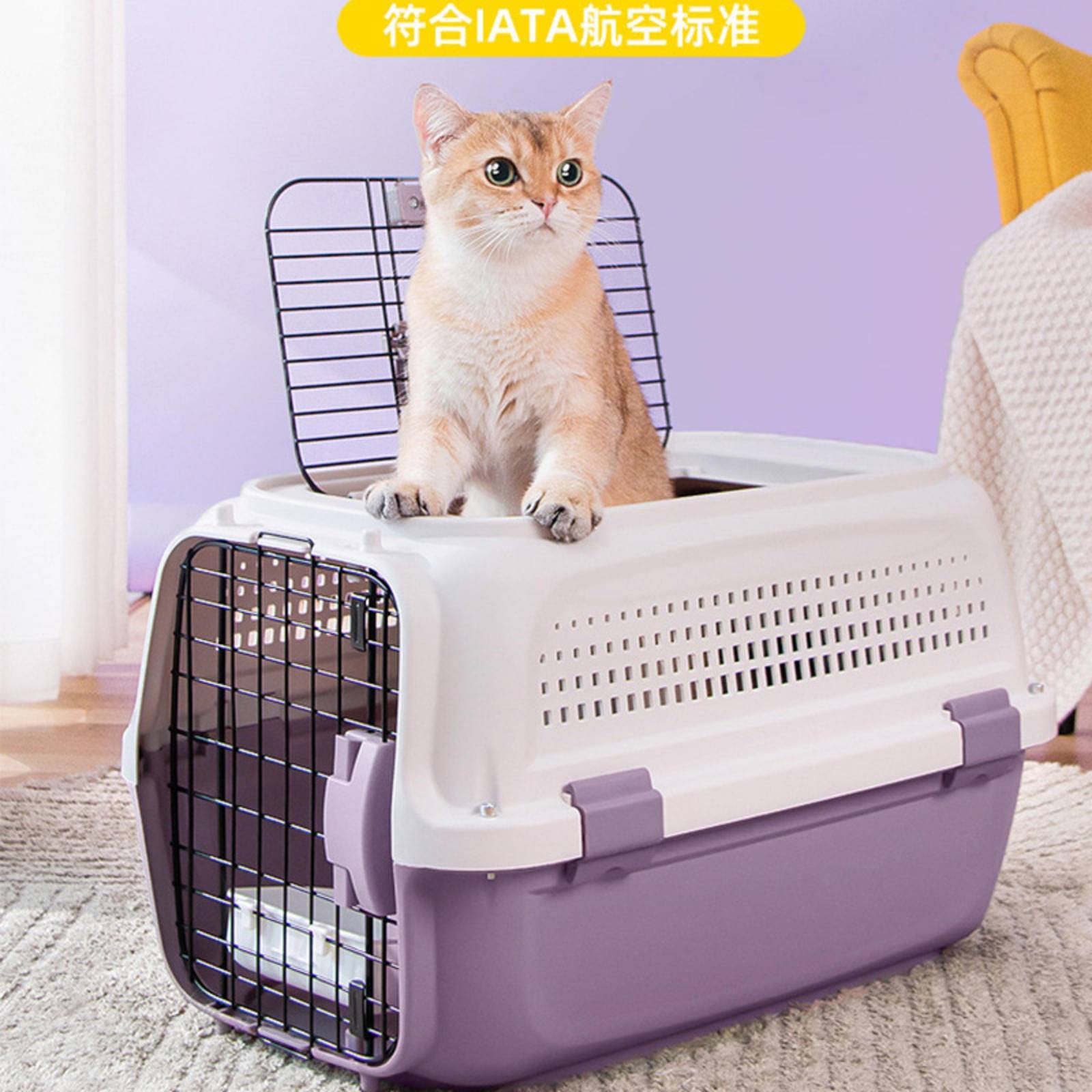 猫咪航空箱宠物托运外出便携手提式猫笼子猫包狗狗车载运输箱: Amazon