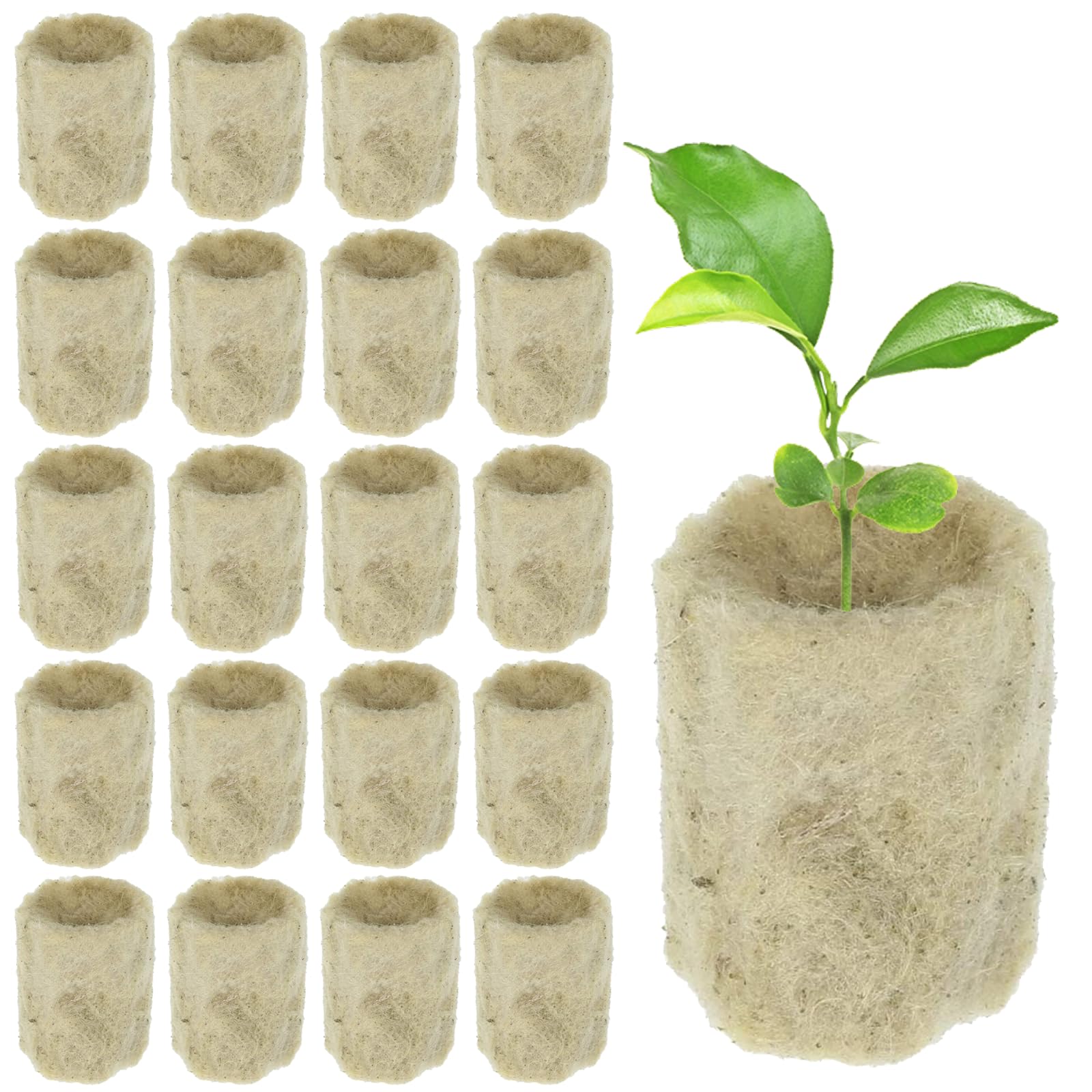 HOMURY 100 unidades de lana de roca cilíndrica: plántula hidroponía de cubo de cría, tapones de lana de roca, tapones para plantas de lana de roca para esquejes, hidropónicos, plantas de interior