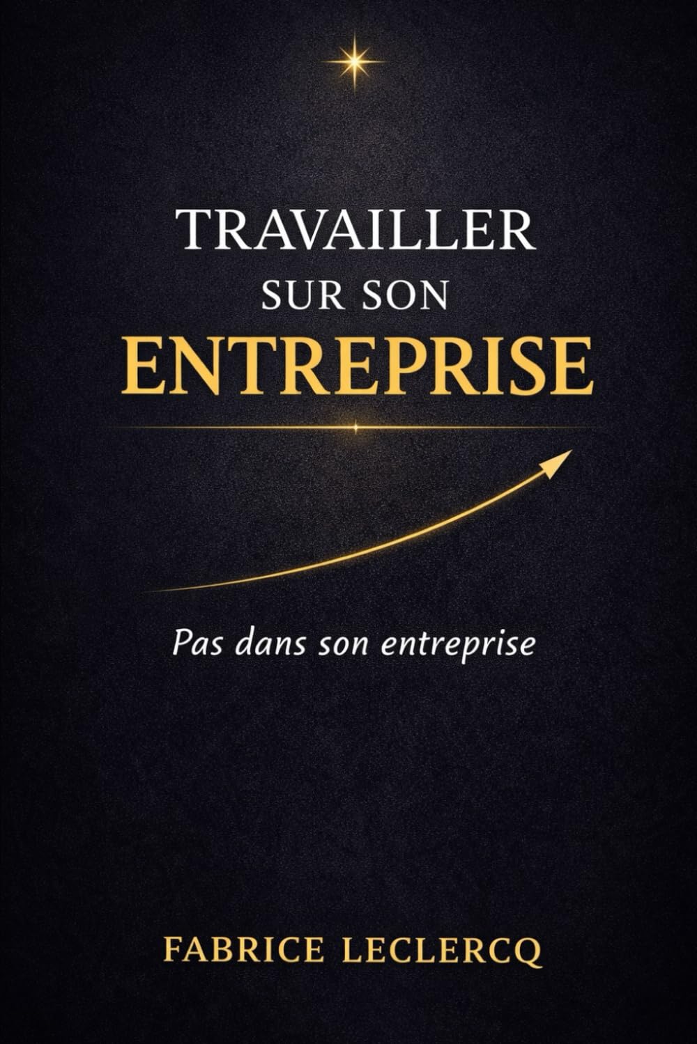 TRAVAILLER SUR SON ENTREPRISE, PAS DANS SON ENTREPRISE: Piloter – Structurer - Réussir
