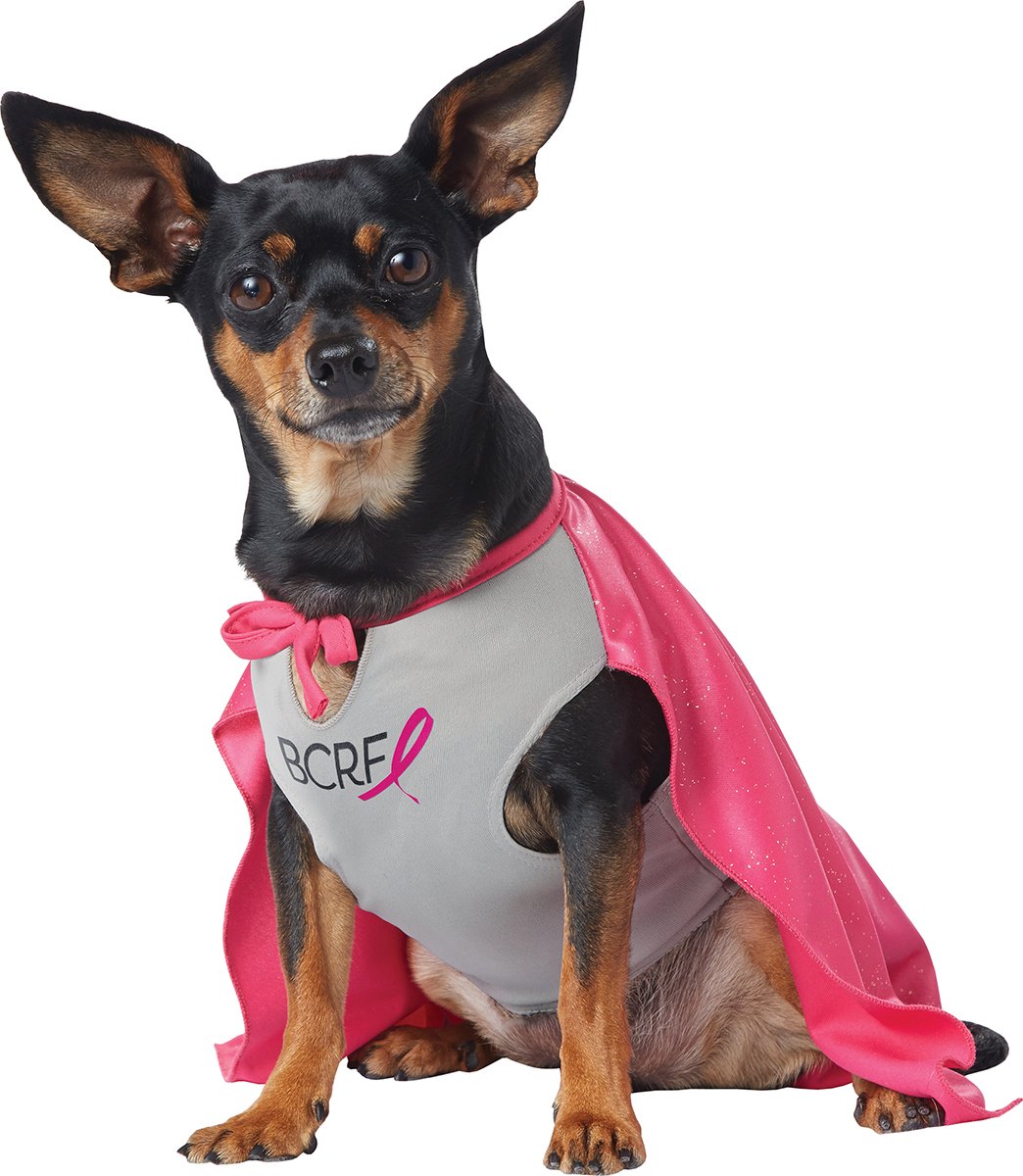 Costume de chien Hero BCRF en tissu léger et confortable California Costumes M