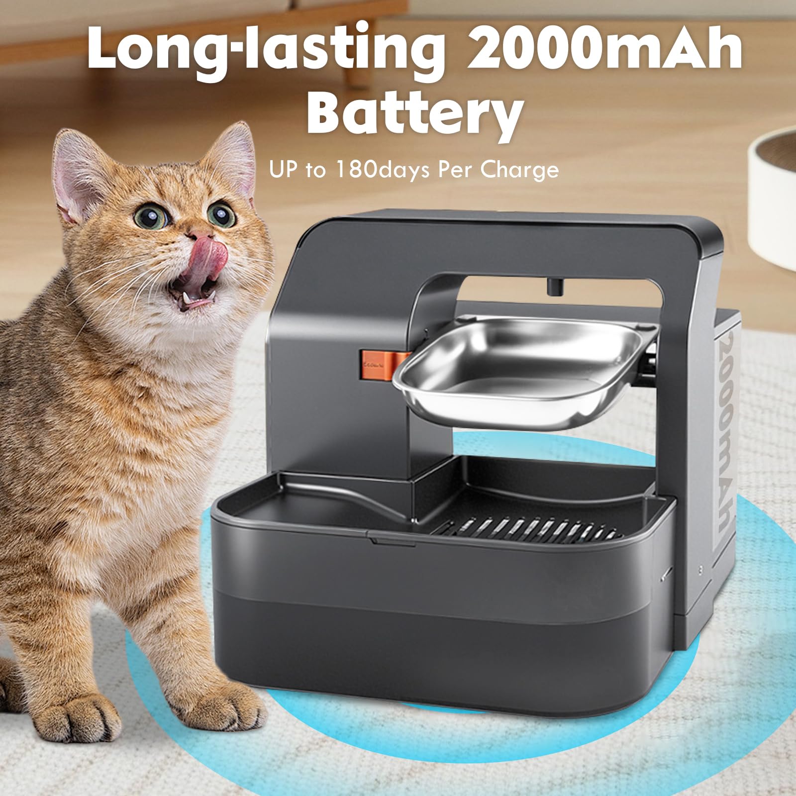 Fontana d'acqua per gatti, senza filtro, separazione delle acque reflue, ciotola in acciaio inox, fontana per animali domestici per cani e gatti