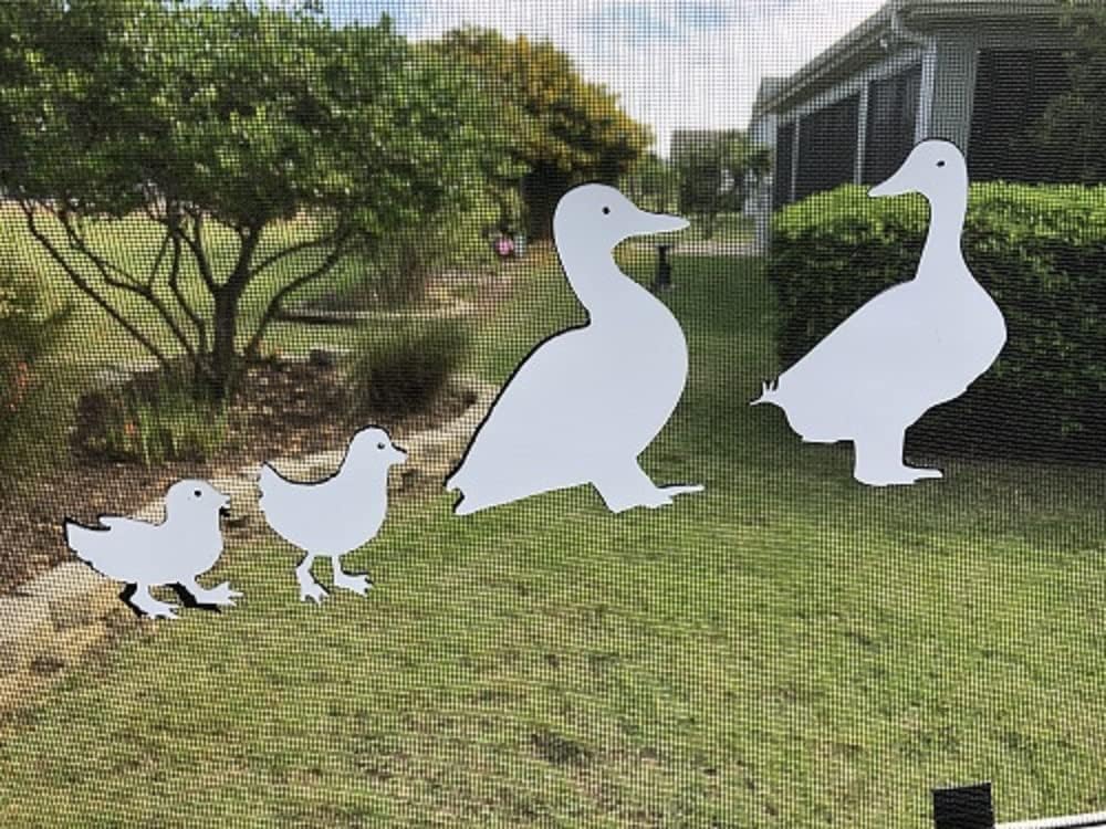 Ducks Flexible Screen Magnets: Double-Sided. Safety White-Easier to See Day & Night. Decorative. Helps to Stop Walking into Screens, Covers Small tears in Screens Size Varies 6 to 2