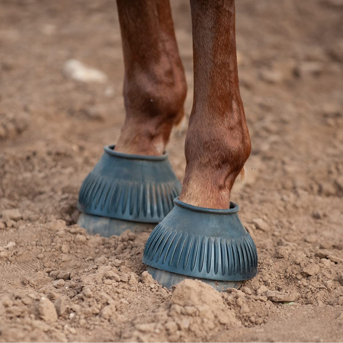 Classic Equine Stivaletti a campana in gomma, neri, taglia M