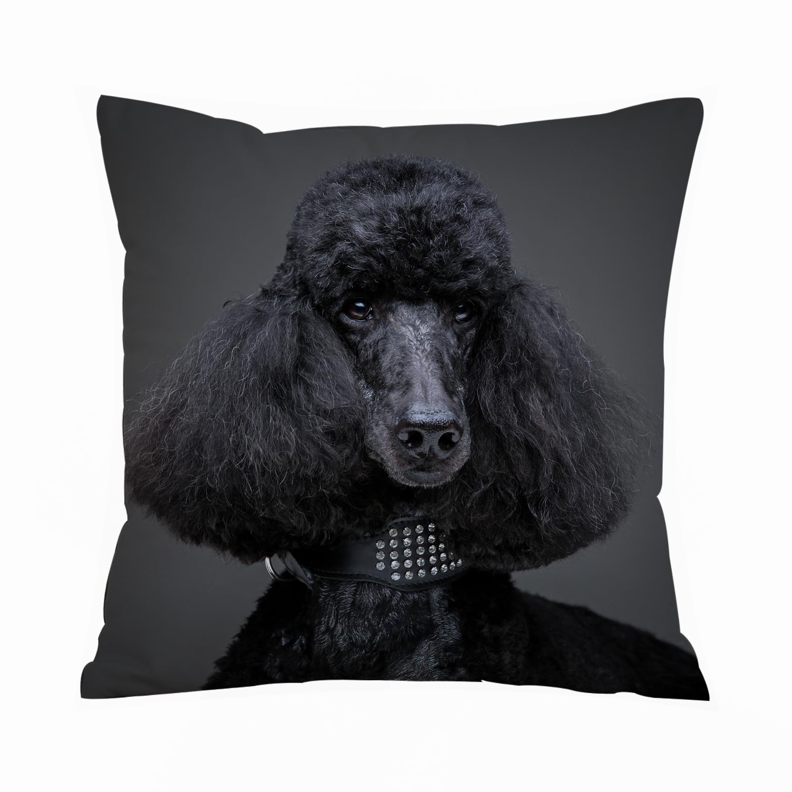 AELKSP Cushion Cover Decorations Pillow Cover Home for Livingroom Couch Sofa Decor Throw Pillow Case Gifts,Beautiful Black Poodle on Grey Background,16x16 in