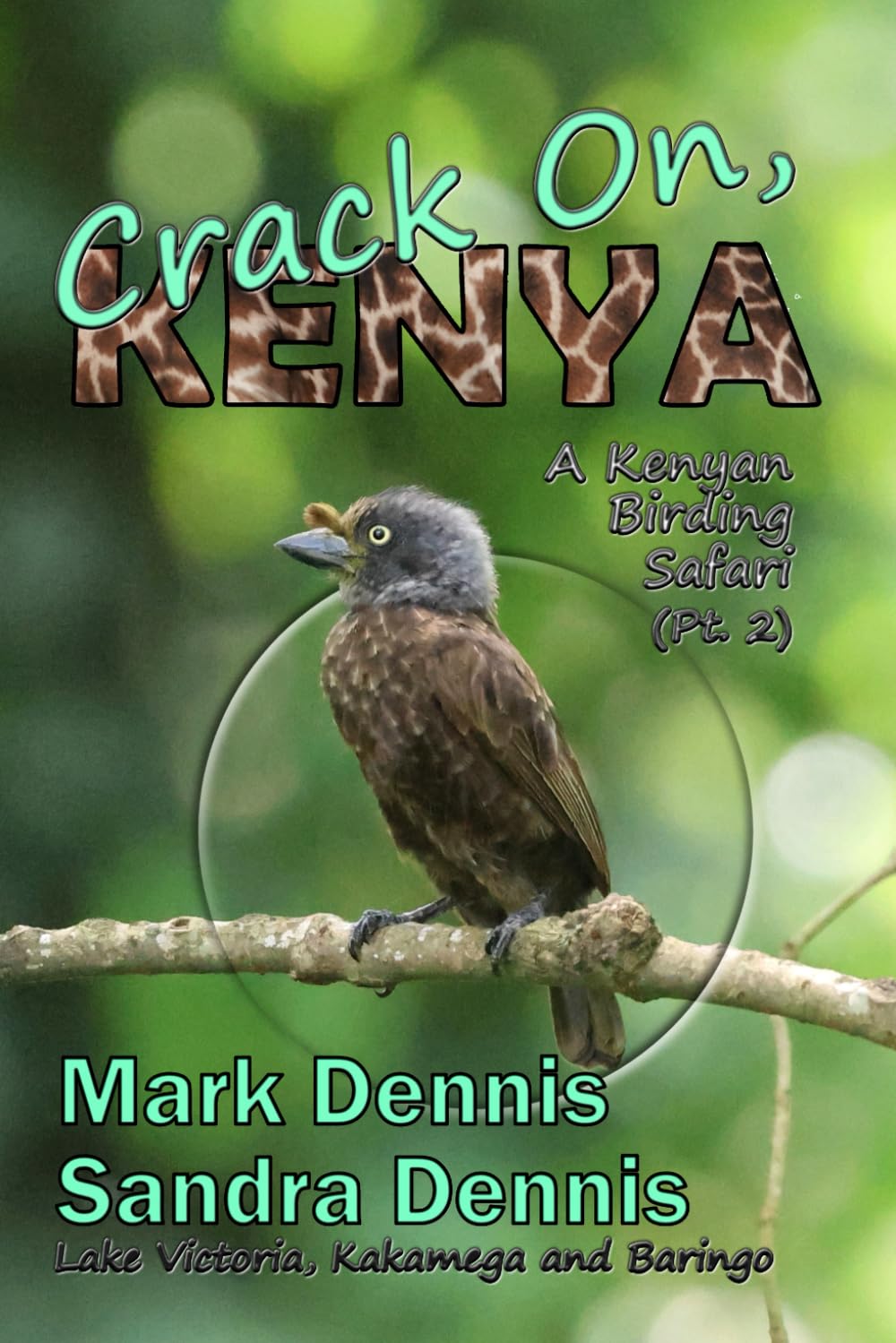 Crack On, Kenya: A Kenyan Birding Safari Pt 2