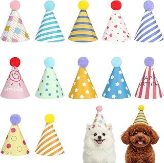12 Pieces Birthday Party Hats, Mini Party Hats for Stuffed Animals with Pompom, Mini Plush Hats, Cone-Shaped Paper Hat for Various Animals, Party Decorations