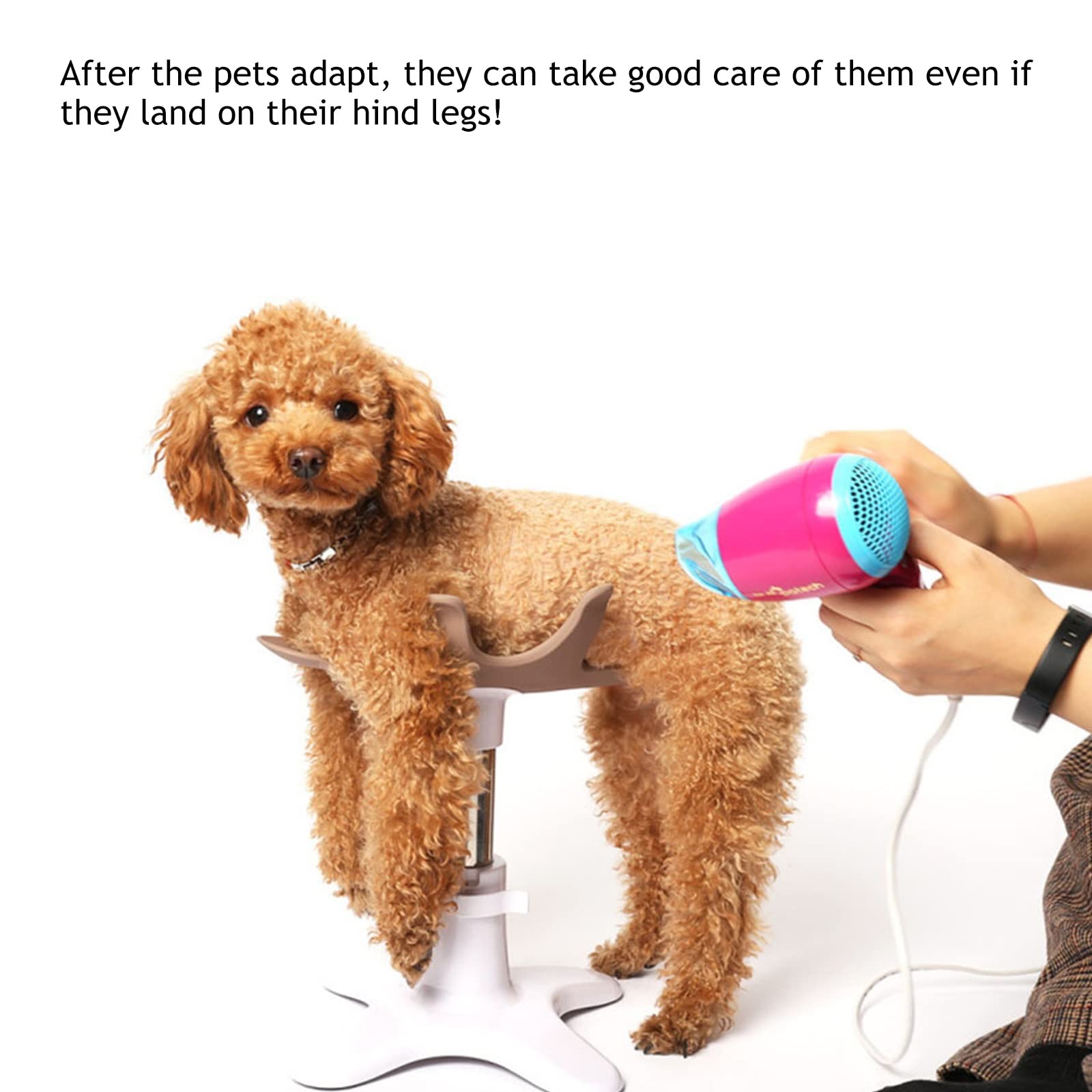Amazon.co.jp: Luckyzl 高さ調節可能なペットの犬のグルーミングチェア