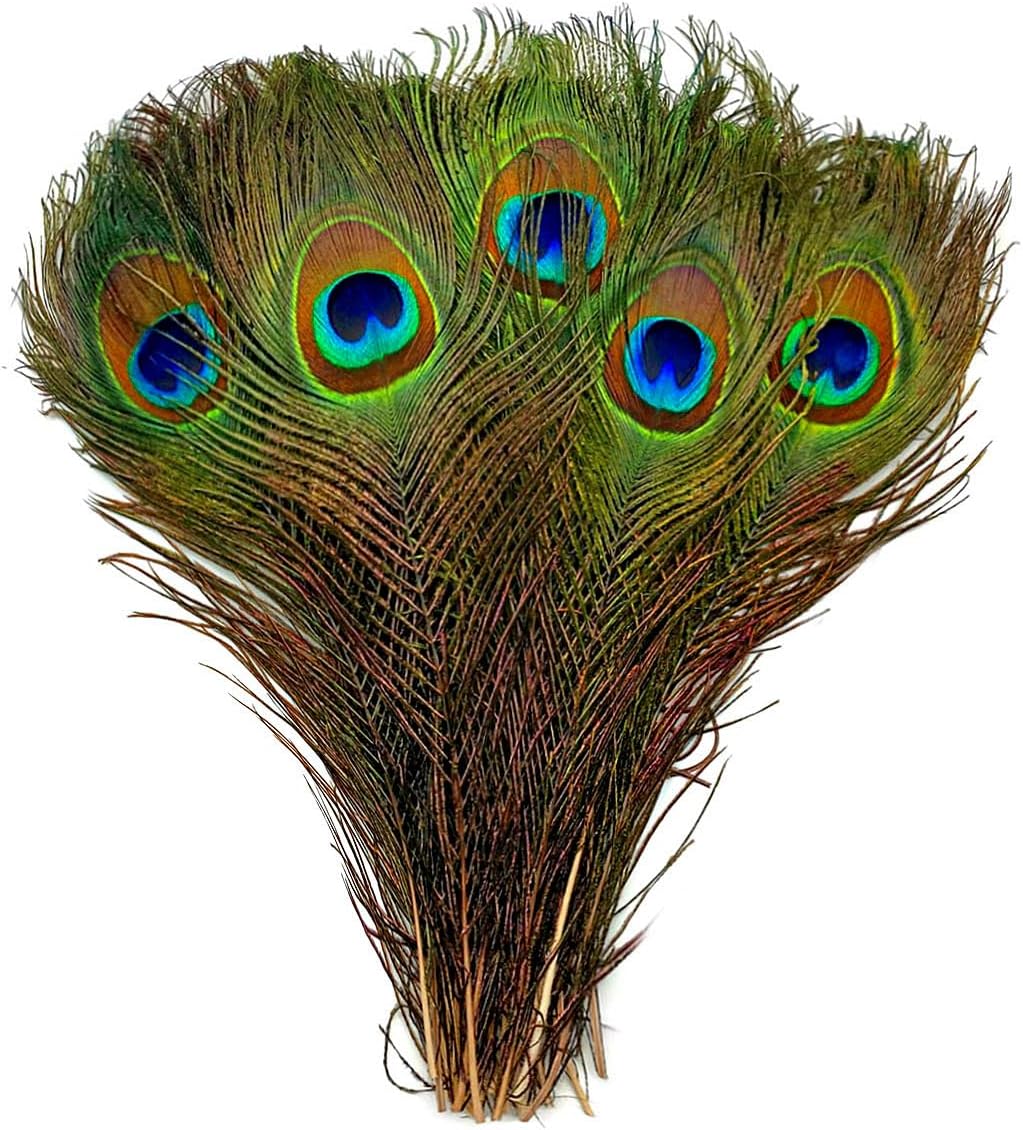 Moonlight Feather | 50 Pieces Natural Green Feathers - 10"-12" Natural Green Wholesale Peacock Feathers for Halloween and Wedding in bulk