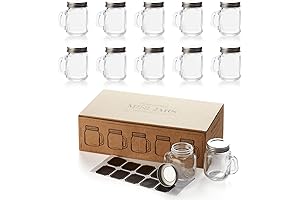 Hayley Cherie 10-Pack 2.5 oz Glass Mason Jars with Handles and Metal Lids