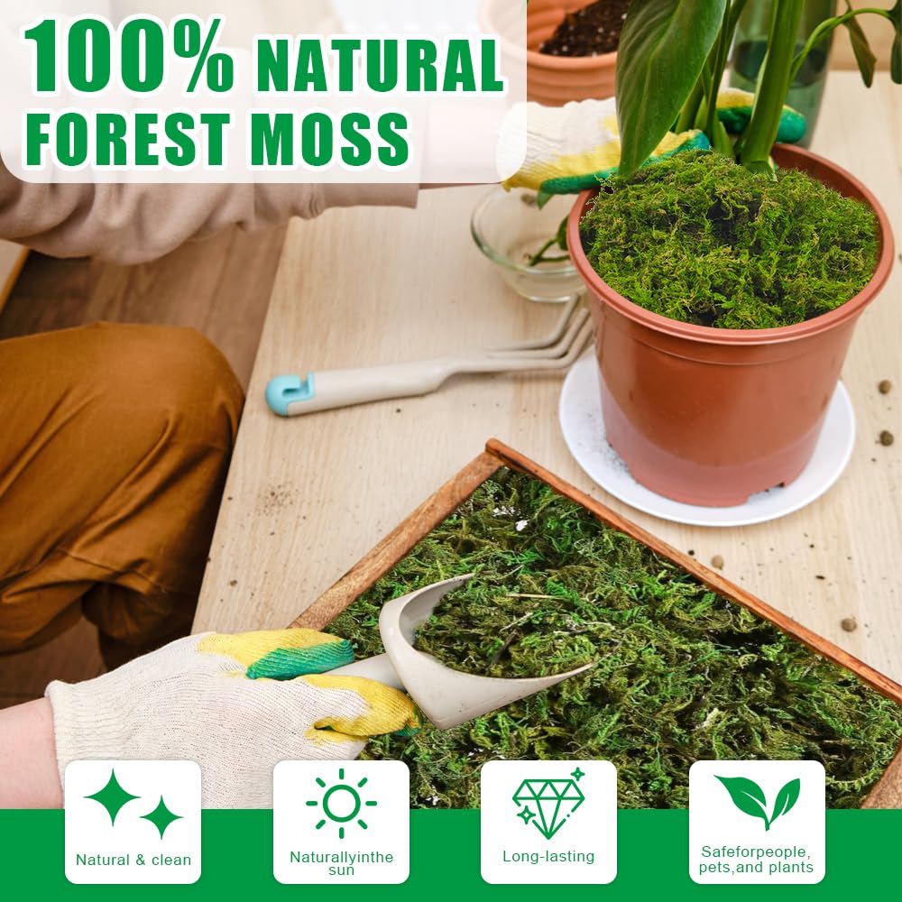 Musgo Sphagnum, 2 x 150 g Musgo para Orquideas, Musgo Natural Sphagnum Moss, Sustrato Orquideas Sustrato Bonsai para Orquídeas, Plantas, Enraizamiento de Esquejes, Reptiles