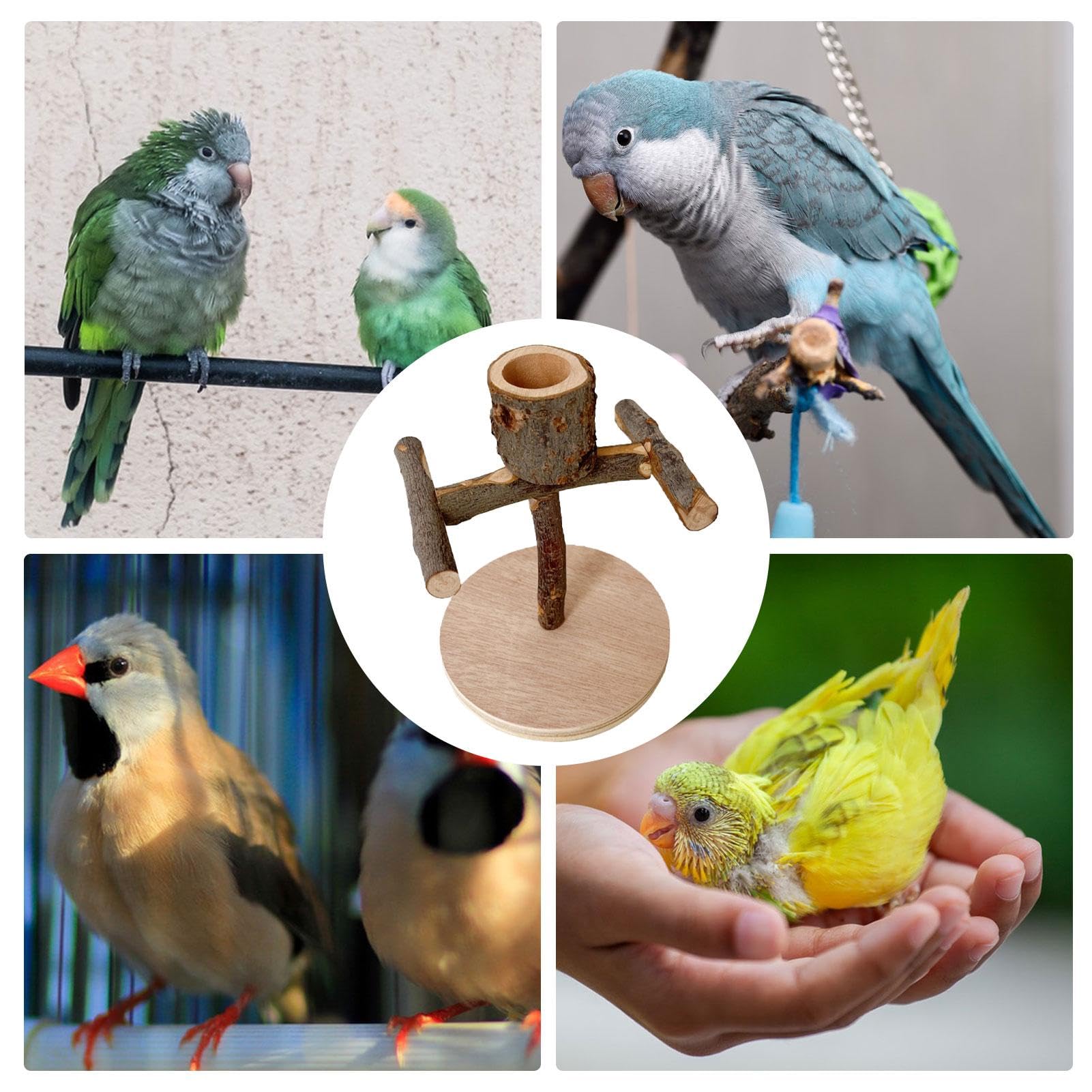 止まり木&オウムスタンド&他色々{コメント用} オウムスタンド&インコスタンド&止まり木