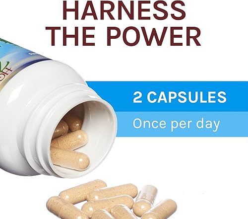 Miniatura 5 de Host Defense CordyChi Cápsulas ayuda a reducir el estrés y la fatiga suplemento de hongos con Cordyceps y Reishi sin sabor 120